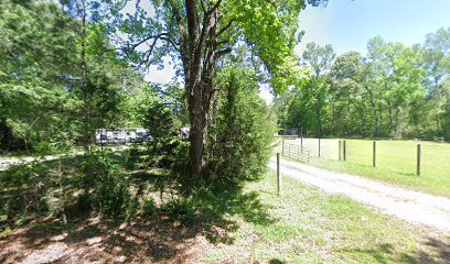 Bayou Bend Gunshop - Store photo