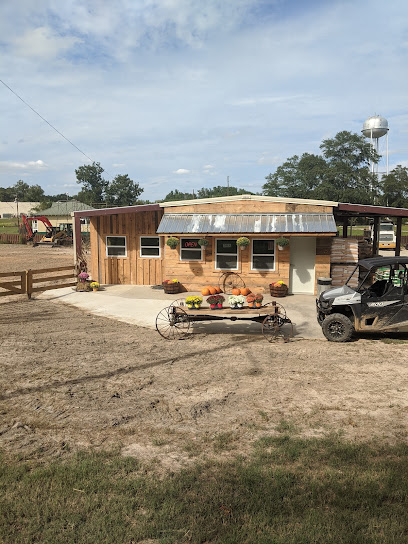 Southern Trace Outdoors - Store photo