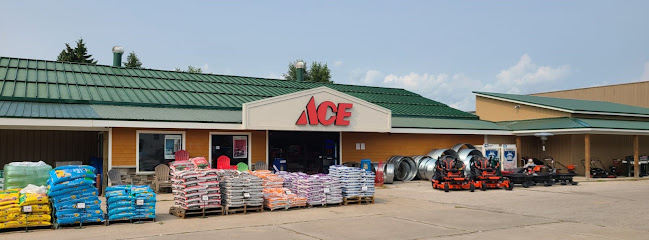Gladwin Ace Hardware - Store photo